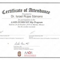 Ampliar imagen: certificate 2