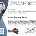 Ampliar imagen: certificate 5