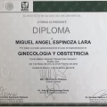 Ampliar imagen: certificate 5