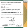 Ampliar imagen: certificate 3