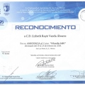 Ampliar imagen: certificate 11