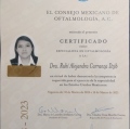 Ampliar imagen: certificate 1