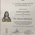 Ampliar imagen: certificate 3