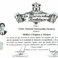 Ampliar imagen: certificate 5