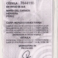 Ampliar imagen: certificate 3