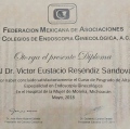 Ampliar imagen: certificate 24
