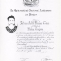 Ampliar imagen: certificate 6