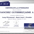 Ampliar imagen: certificate 12