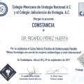 Ampliar imagen: certificate 3