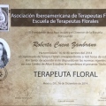 Ampliar imagen: certificate 5