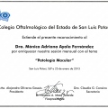 Ampliar imagen: certificate 4