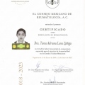Ampliar imagen: certificate 4