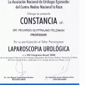 Ampliar imagen: certificate 61