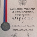 Ampliar imagen: certificate 5