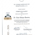 Ampliar imagen: certificate 1