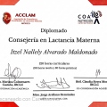 Ampliar imagen: certificate 9