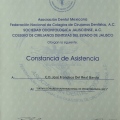 Ampliar imagen: certificate 33