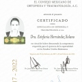 Ampliar imagen: certificate 1