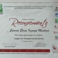 Ampliar imagen: certificate 29