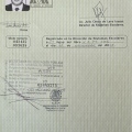 Ampliar imagen: certificate 2