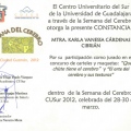 Ampliar imagen: certificate 24