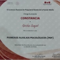 Ampliar imagen: certificate 15
