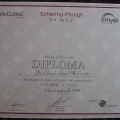 Ampliar imagen: certificate 28