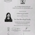 Ampliar imagen: certificate 2