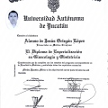 Ampliar imagen: certificate 1