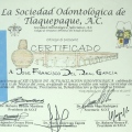 Ampliar imagen: certificate 29