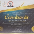 Ampliar imagen: certificate 29