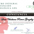 Ampliar imagen: certificate 6