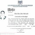 Ampliar imagen: certificate 2