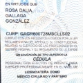 Ampliar imagen: certificate 13