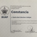 Ampliar imagen: certificate 6