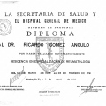 Ampliar imagen: certificate 7