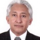 Dr. Gustavo Martin Pineda Nava