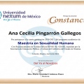 Ampliar imagen: certificate 11