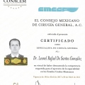 Ampliar imagen: certificate 2