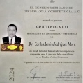 Ampliar imagen: certificate 3