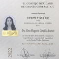 Ampliar imagen: certificate 4