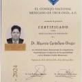 Ampliar imagen: certificate 1