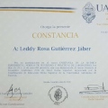 Ampliar imagen: certificate 31