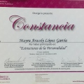 Ampliar imagen: certificate 26