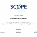 Ampliar imagen: certificate 4