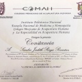 Ampliar imagen: certificate 18