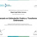 Ampliar imagen: certificate 19