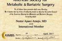 Néstor Apaez Araujo-2