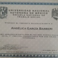 Ampliar imagen: certificate 2