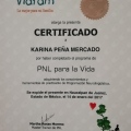 Ampliar imagen: certificate 8